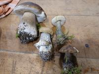 20250927_194447 (768x1024).jpg